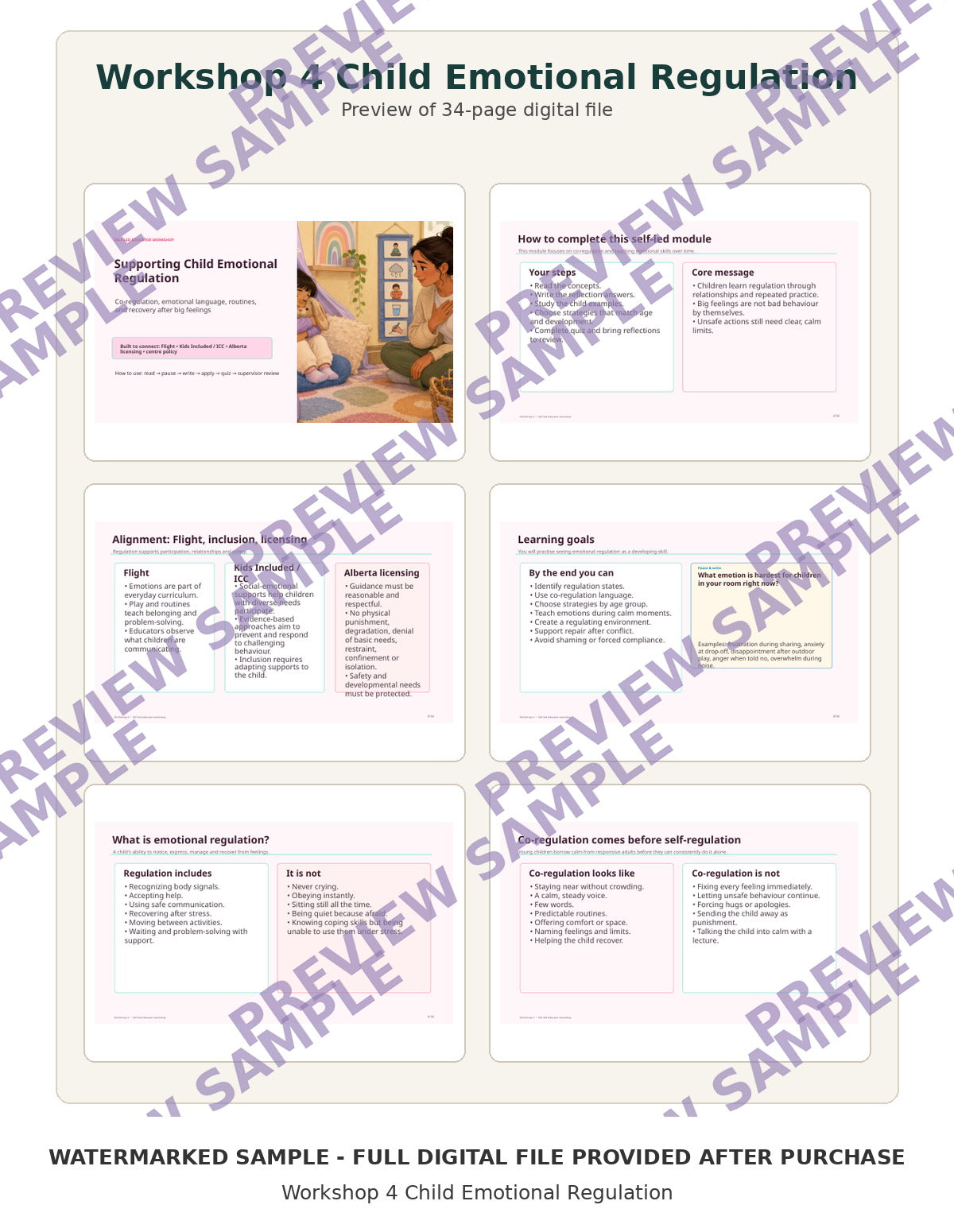 Workshop 4 Child Emotional Regulation