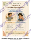 Tantrum Or Emotional Overwhelm